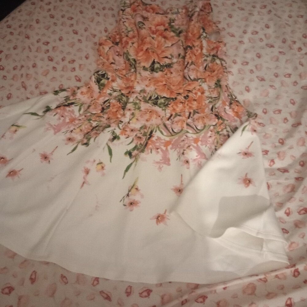 Danny and Nicole floral dress size xl